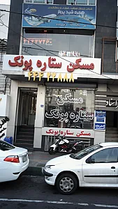 مسکن ستاره پونک