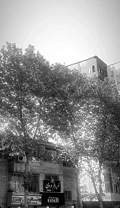 عکس و فیلم دروی