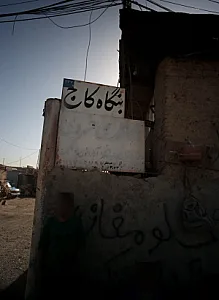 بنگاه کاج