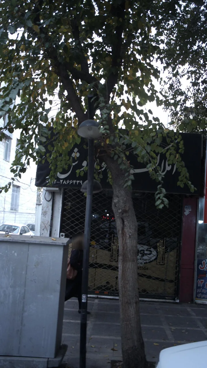 مشاور املاک رحیمی