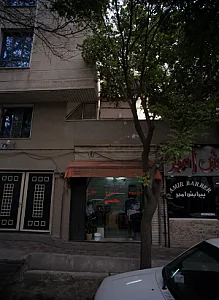 مشاورین املاک محسنی