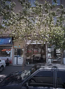 مسکن گلپایگانی