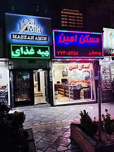 املاک امین