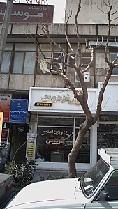 املاک فردوس