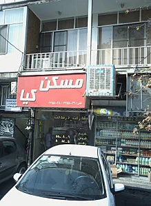 مسکن کیا