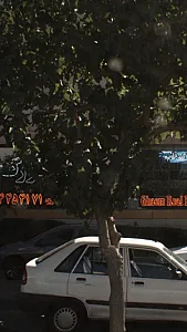 مسکن بزرگ قائم