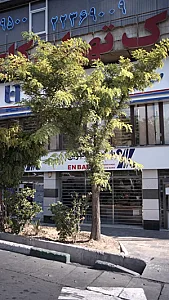 املاک تهران کاج