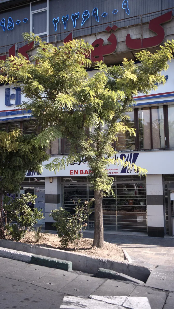 املاک تهران کاج