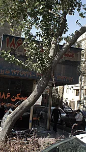 مسکن 186