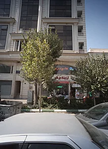 املاک بزرگ اسپیدار