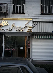 مسکن بین الملل