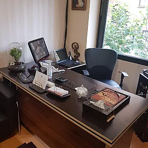 املاک آریانا پالاس
