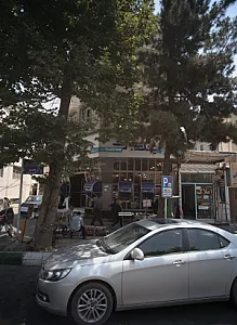 مشاورین املاک رضا