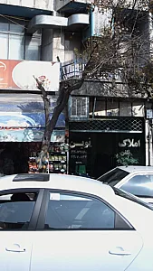 املاک نوین