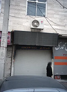 مشاورین املاک نیلی