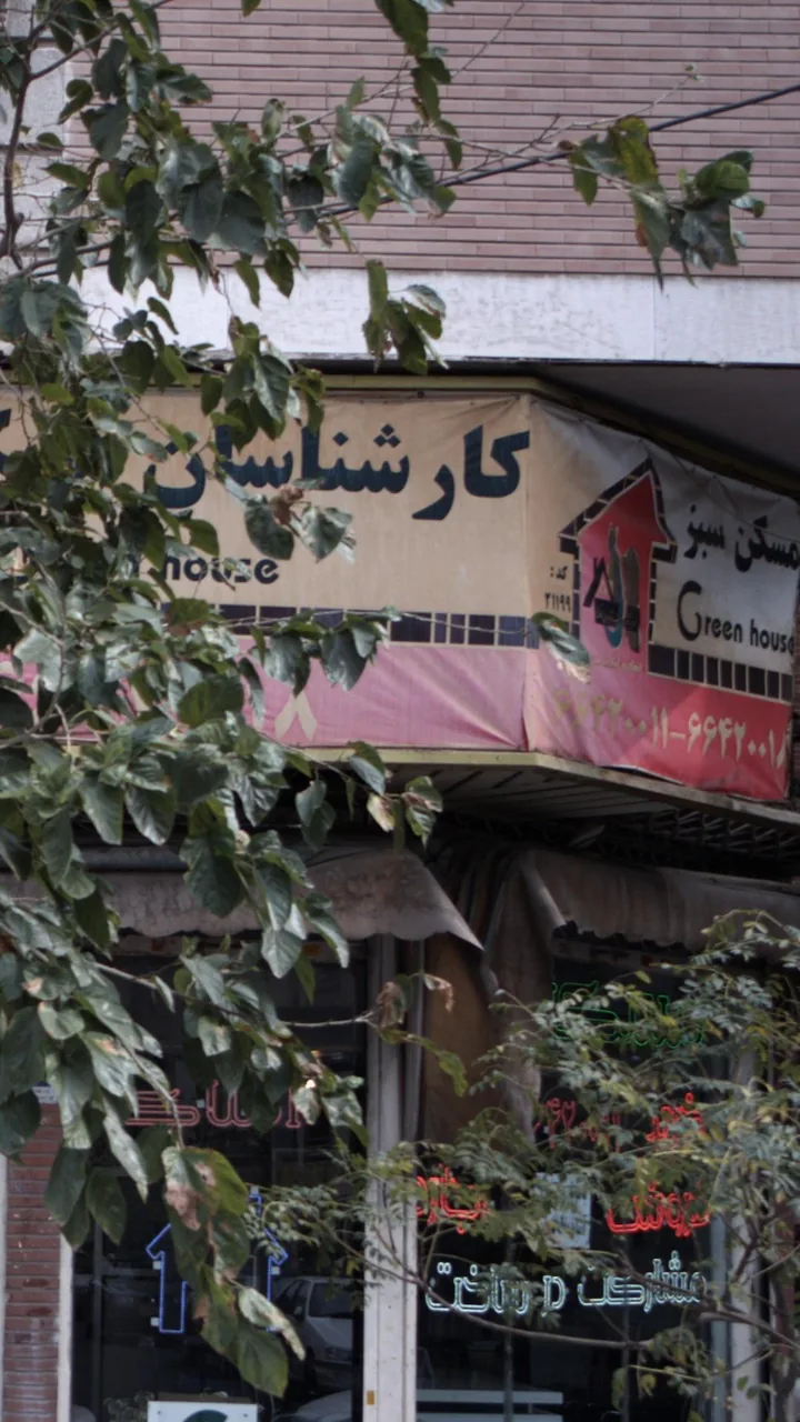 مسکن سبز - تصویر 2