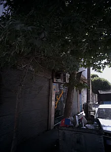 مسکن صدف