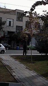 مسکن 110