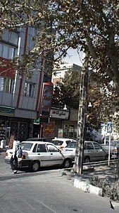 مسکن شاهد