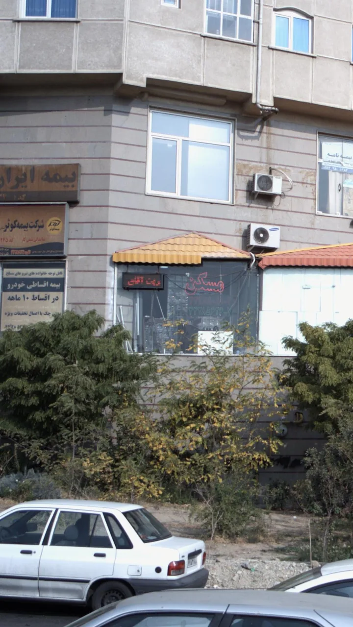 مسکن هامون