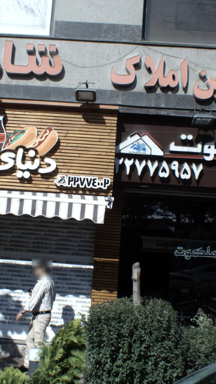 گروه مشاورین شاهین