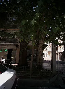 املاک گرجی