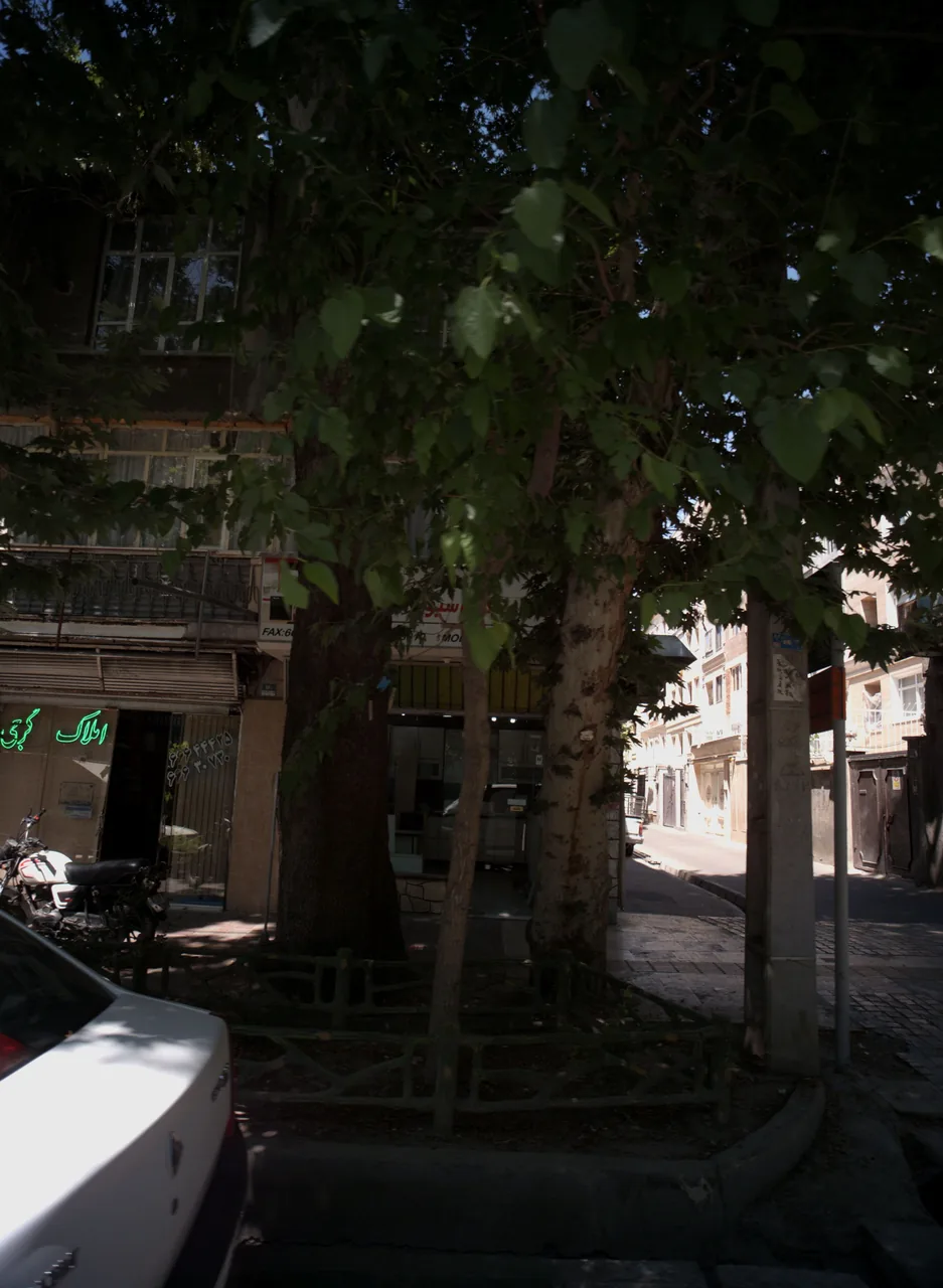 املاک گرجی