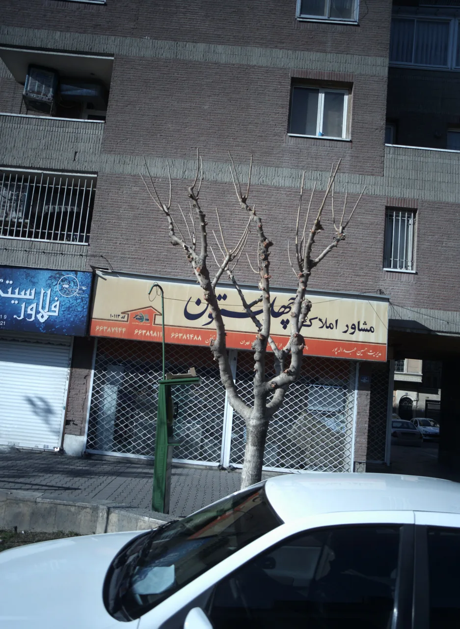 مشاور املاک چهلستون