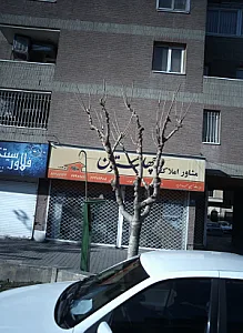مشاور املاک چهلستون
