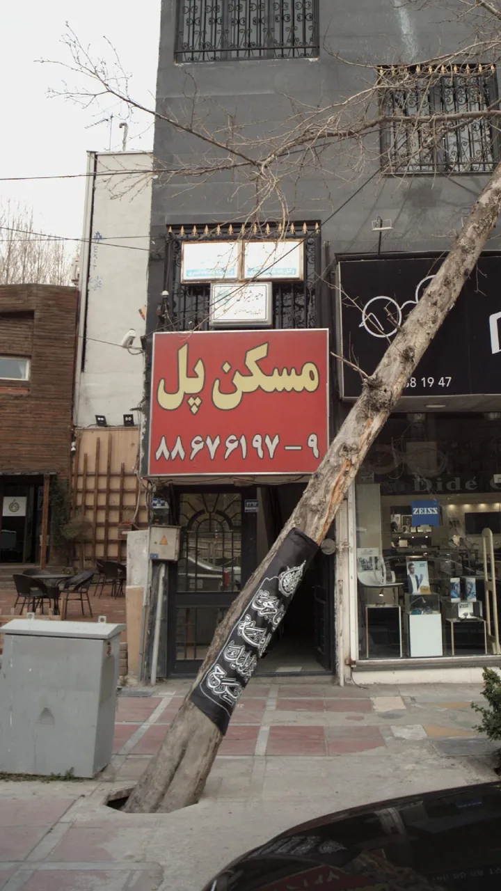 مسکن پل - تصویر 3