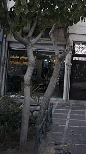 آژانس مسکن حقیقت