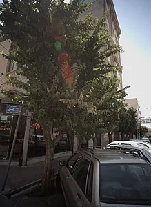 مهر 121