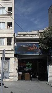مسکن نگین