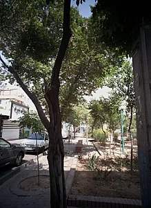 املاک نمونه