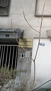 شرکت تجارتی سنمار