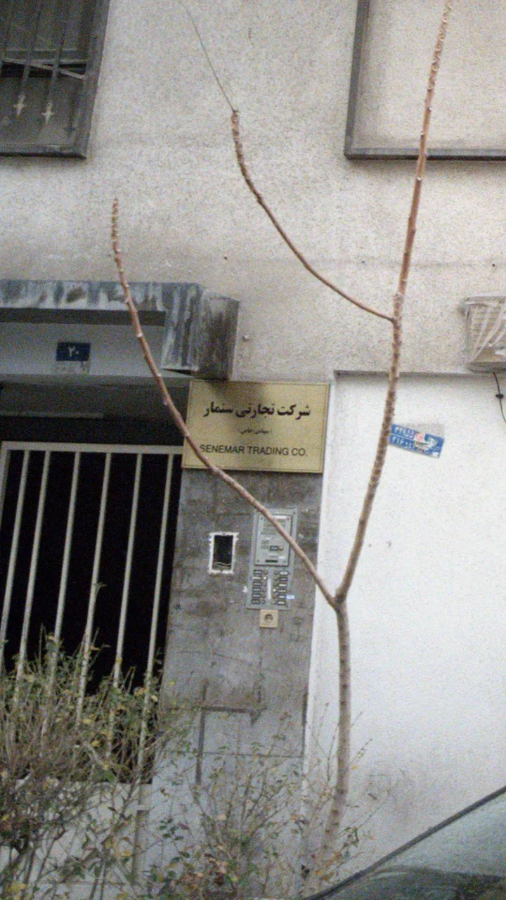 شرکت تجارتی سنمار