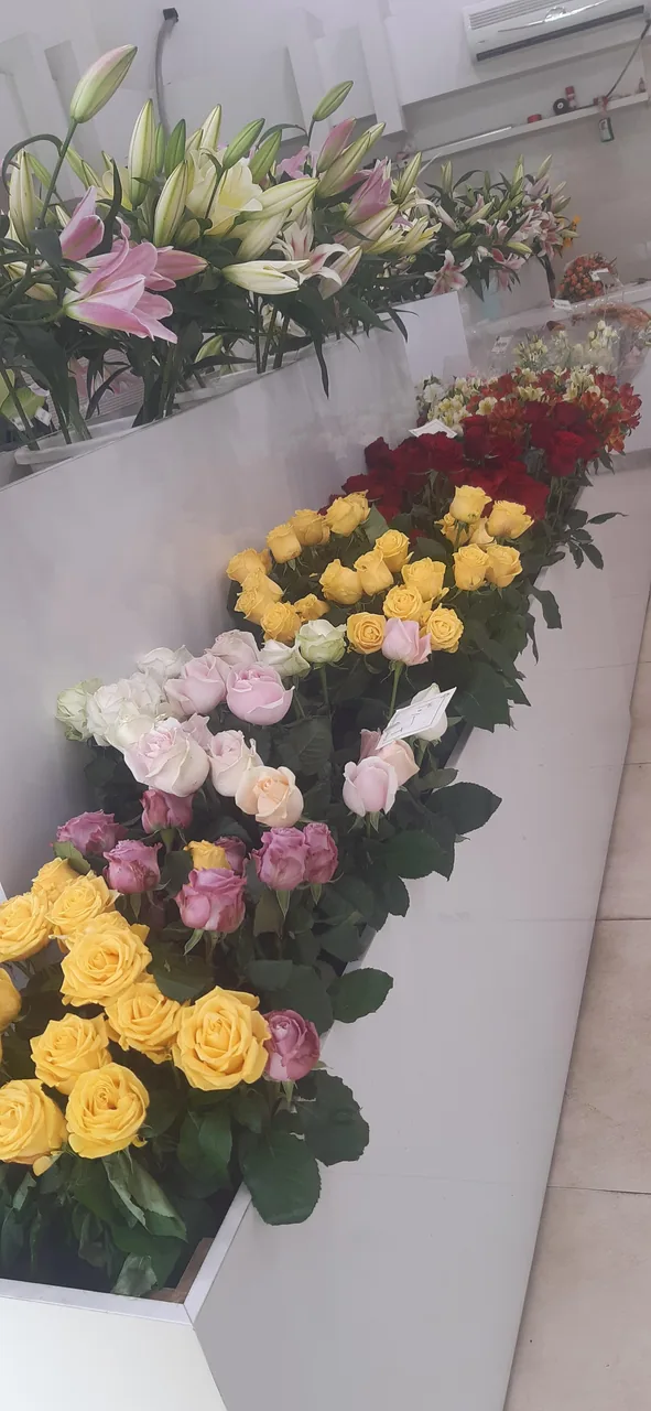 گل سلطان