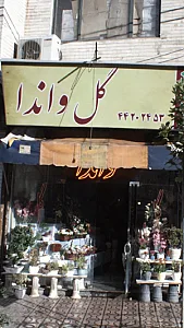 موسسه گل واندا