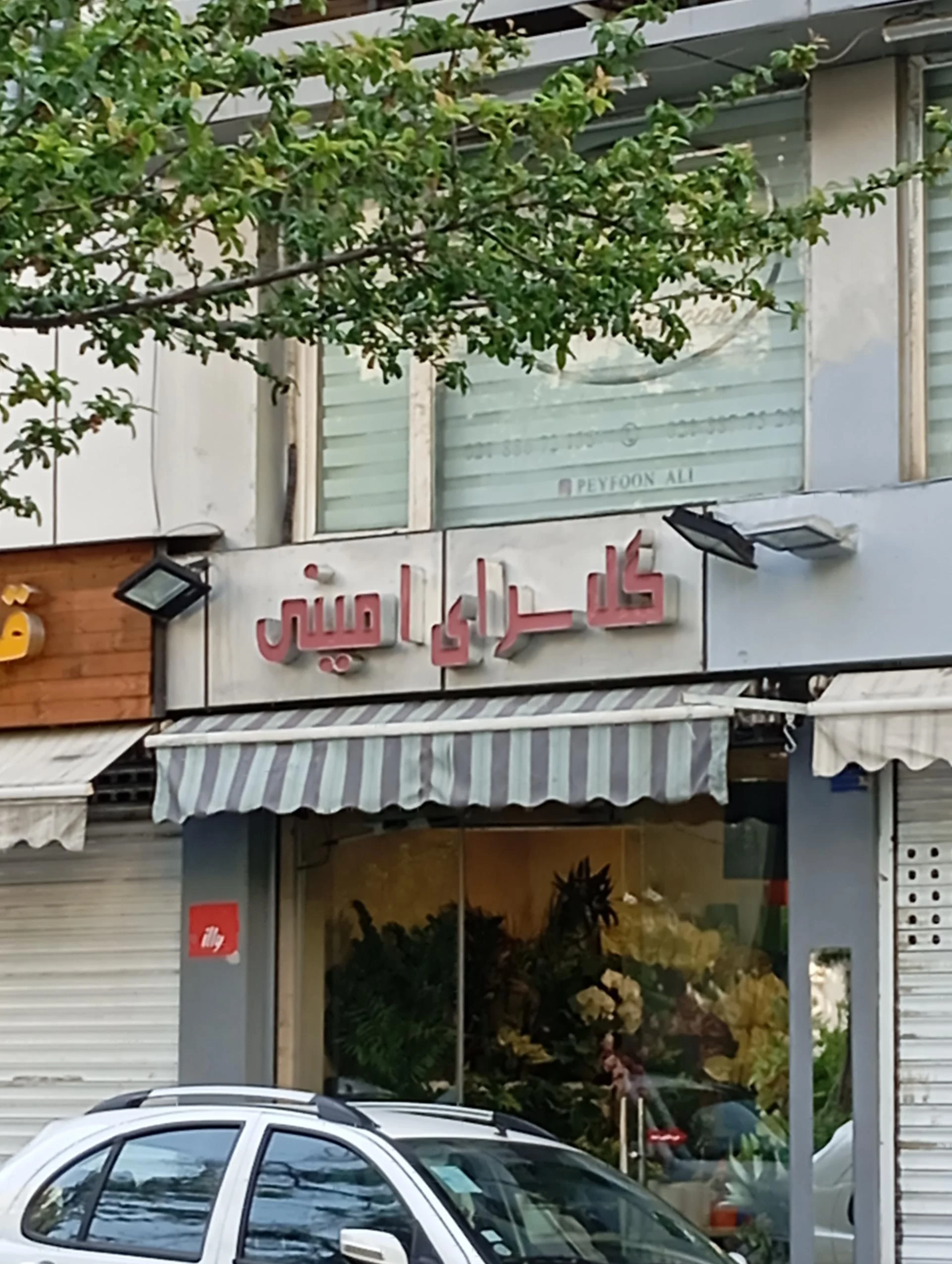 گلفروشی سامان - تصویر 2