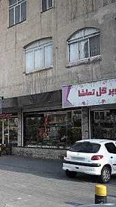 گل تماشا