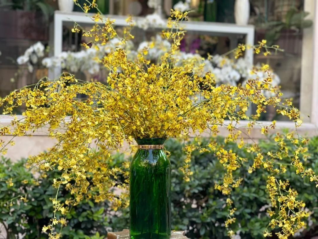 گلزار طلا - تصویر 3