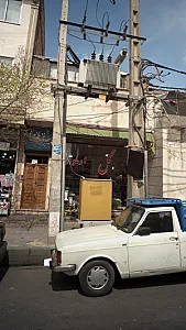 گل ارغوان