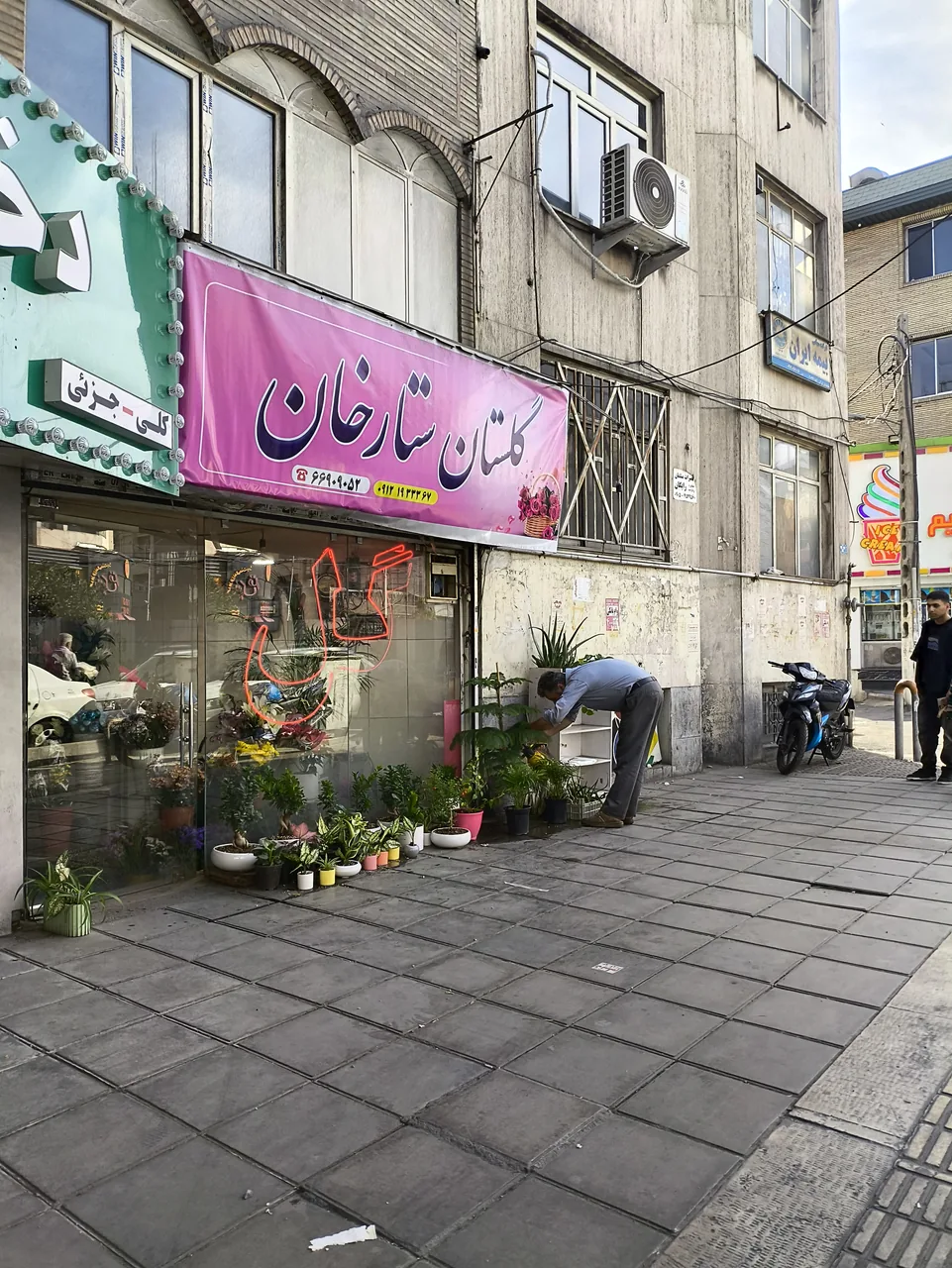 گلستان ستارخان - تصویر 2