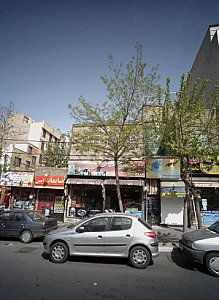 گل سرای شبنم
