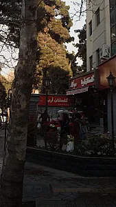 گلستان آریا