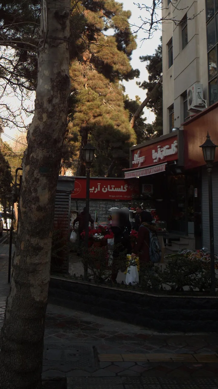 گلستان آریا