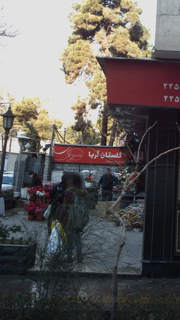 گلستان آریا - تصویر 2