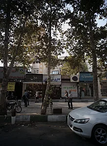 گلفروشی رویال