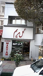 گل مریم