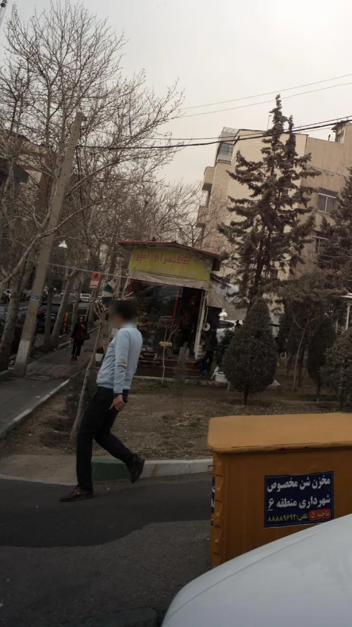 گلسرای امیر - تصویر 2